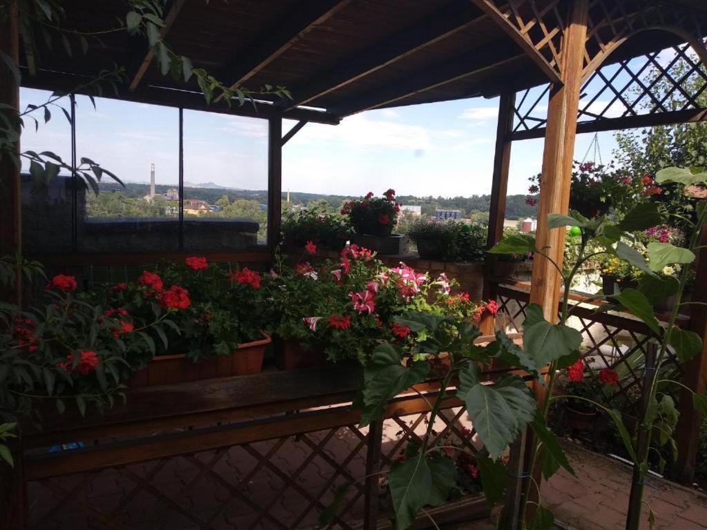 Apartmany Zatec Kültér fotó